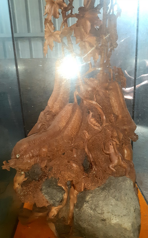 白豆衫絲瓜的第1張圖片